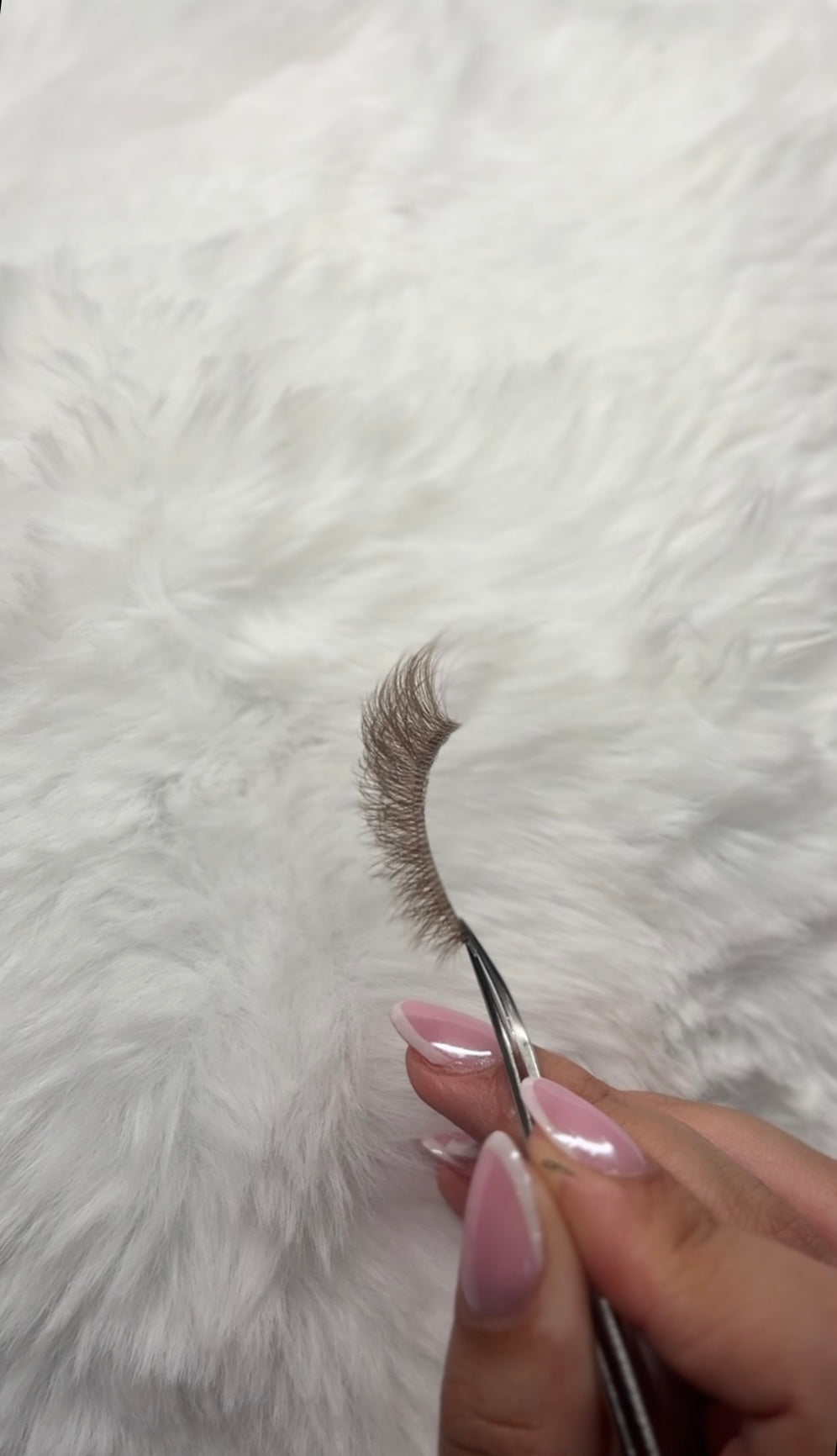 Pantera Brown lashes