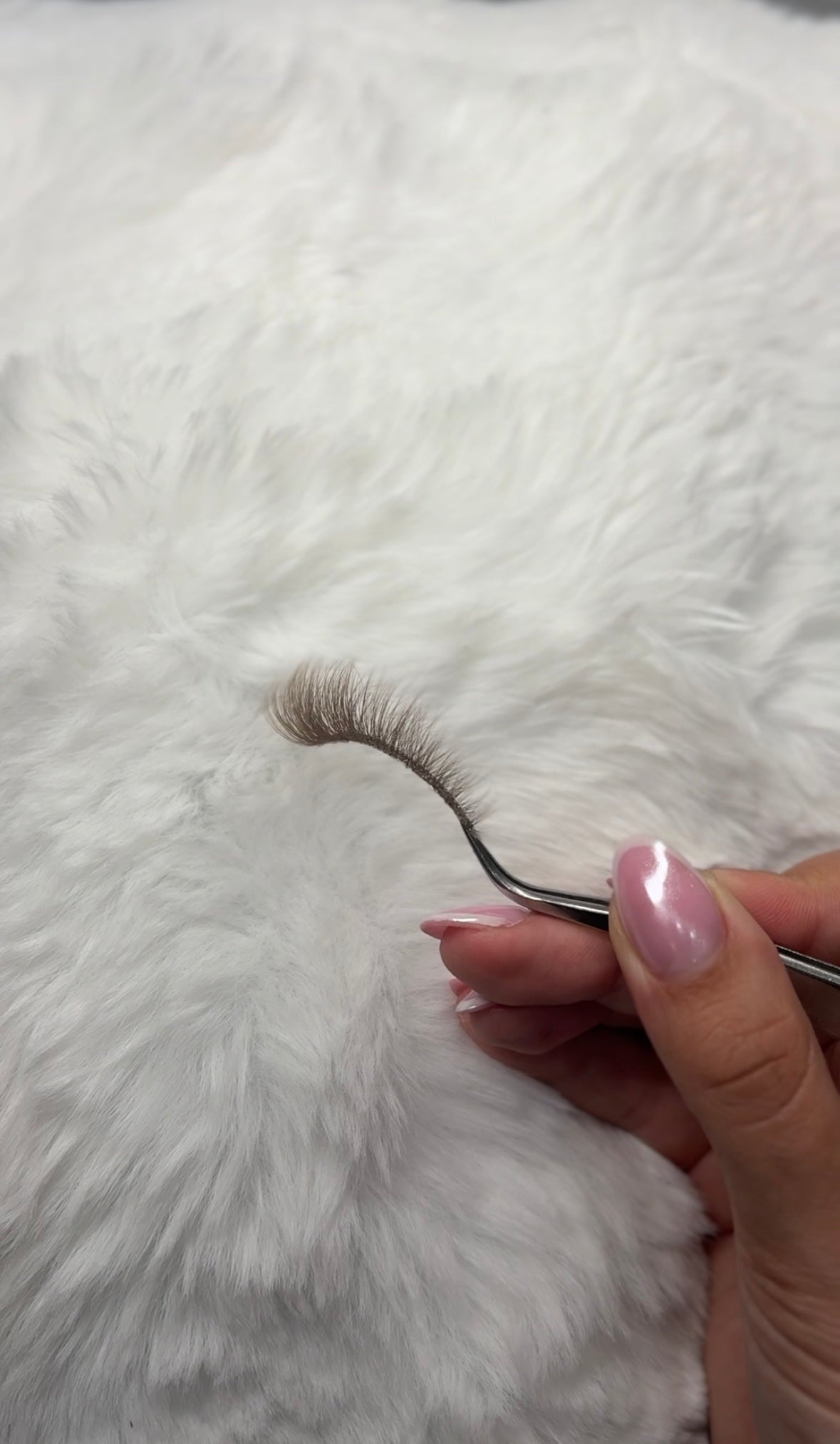 Pantera Brown lashes