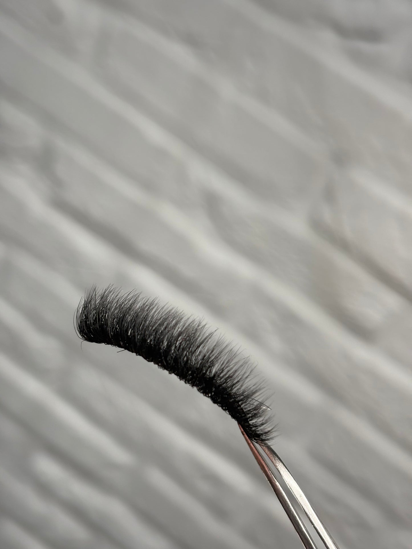 Lily lashes