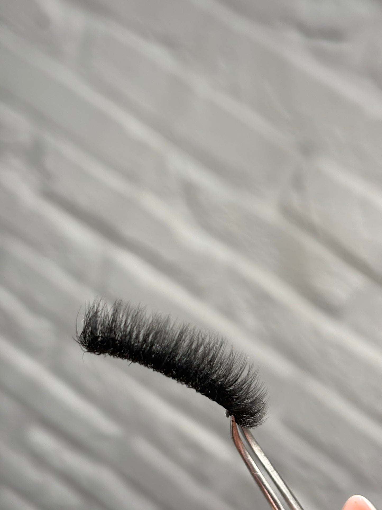 Lily lashes
