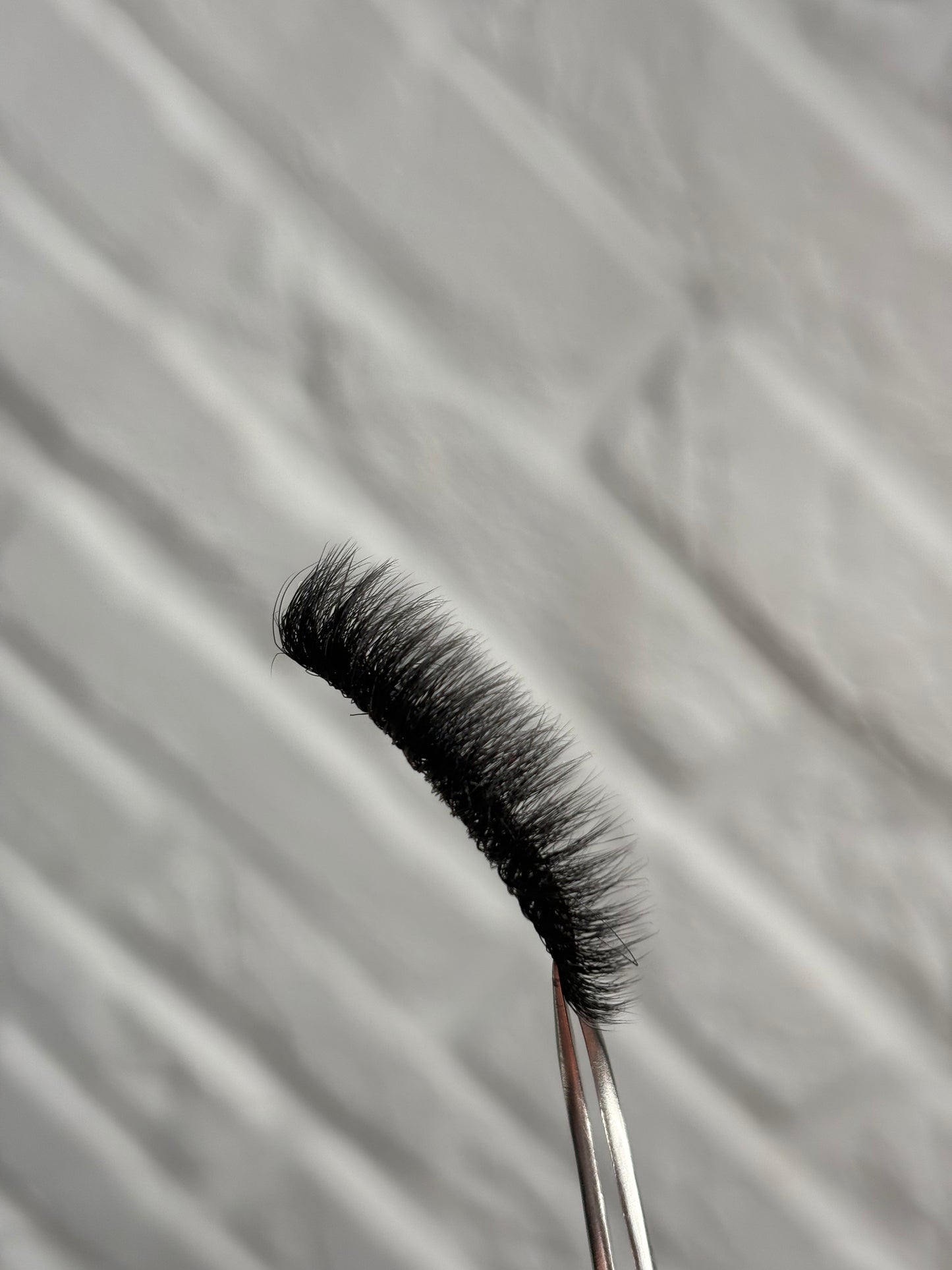 Lily lashes