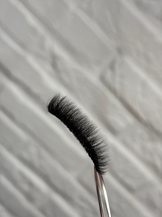 Lily lashes