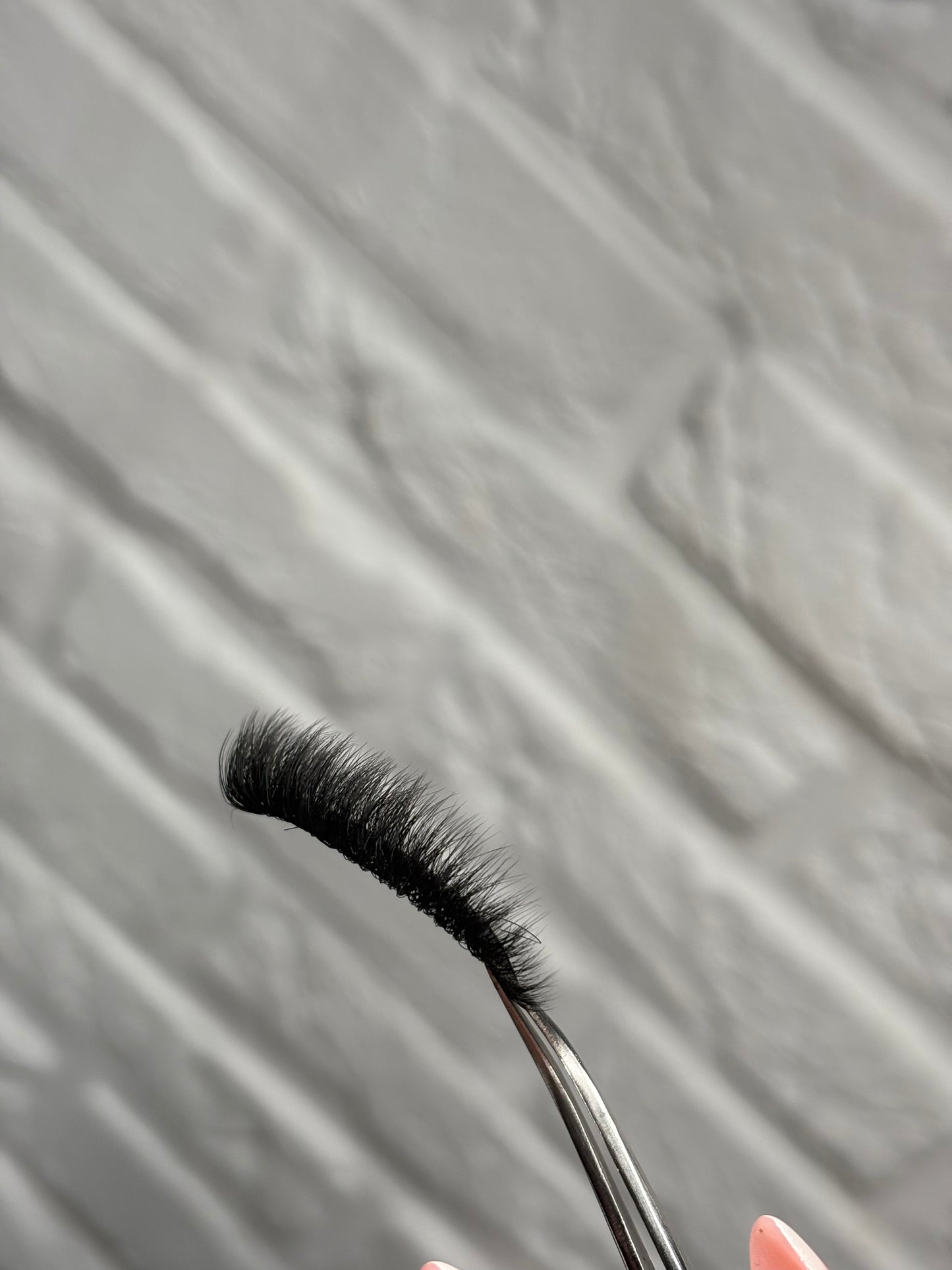 Lily lashes